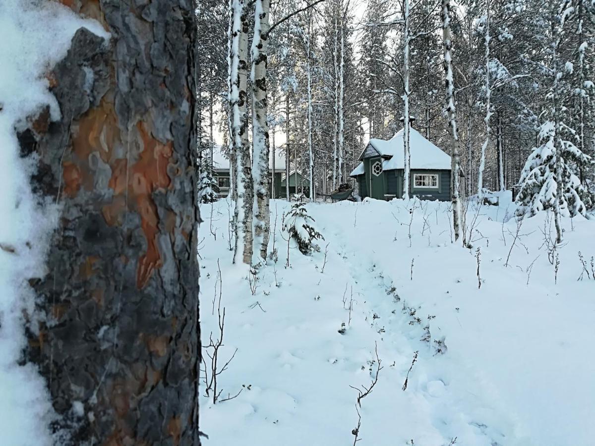 Villa Waestae-Raekki Луосто Екстериор снимка